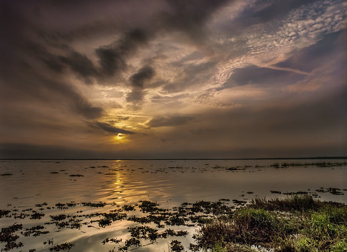 A Shy Sunset. (Un timido atardecer). [Explored]