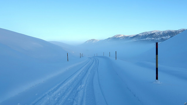 On frozen paths