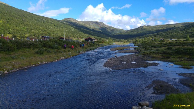 Synnerdalen and Forollhogna