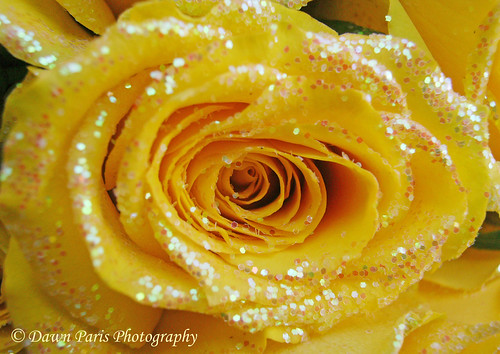 Glitter Rose