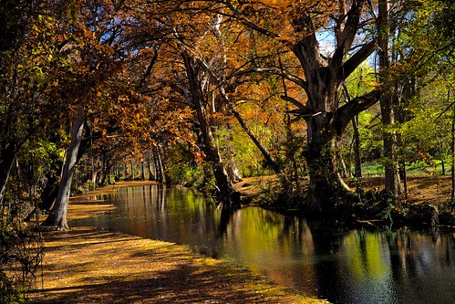 Autumn View