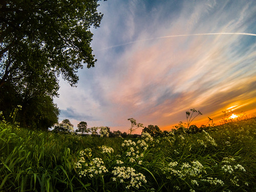 [Explored] - Good morning Hemel