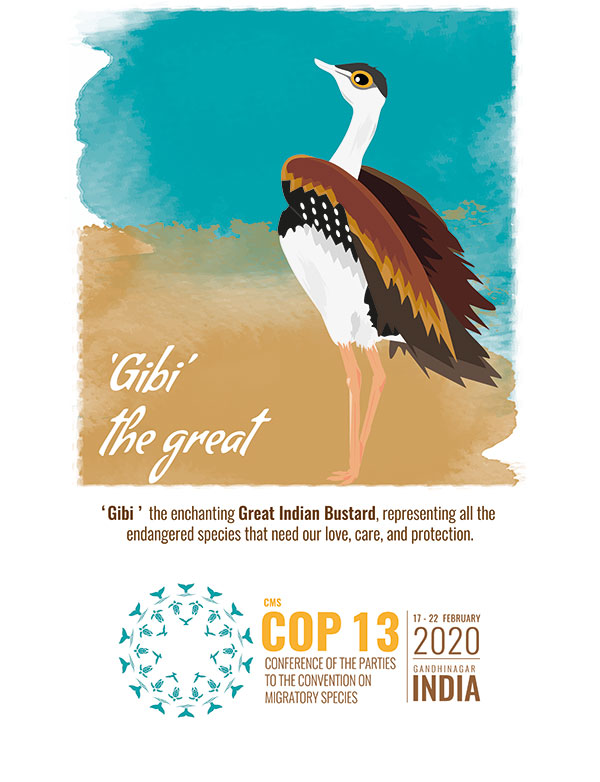 CMS COP13 Logo