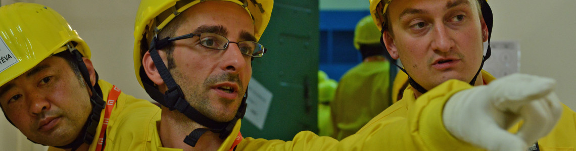 Safeguards Inspectors