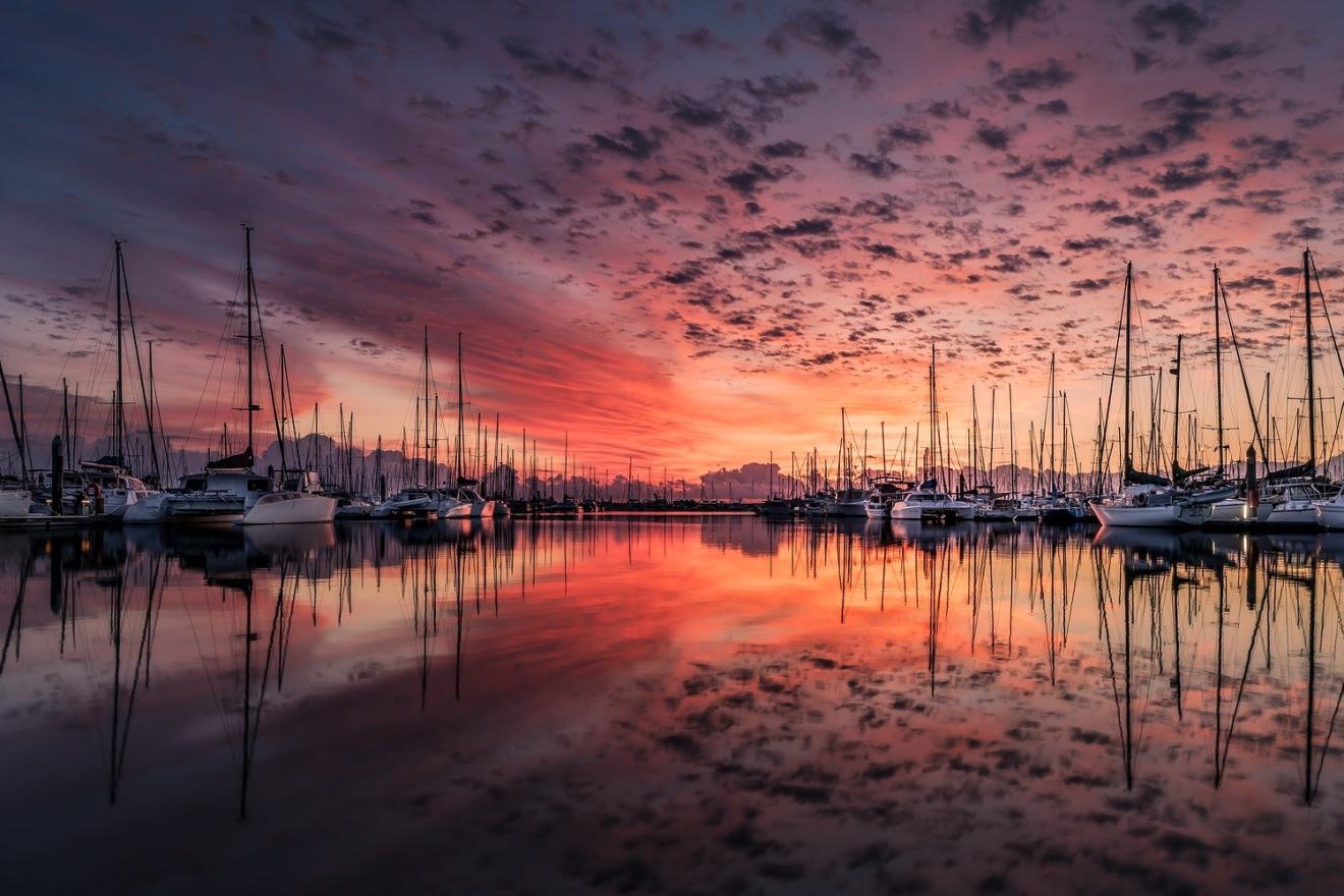 Boats in marina