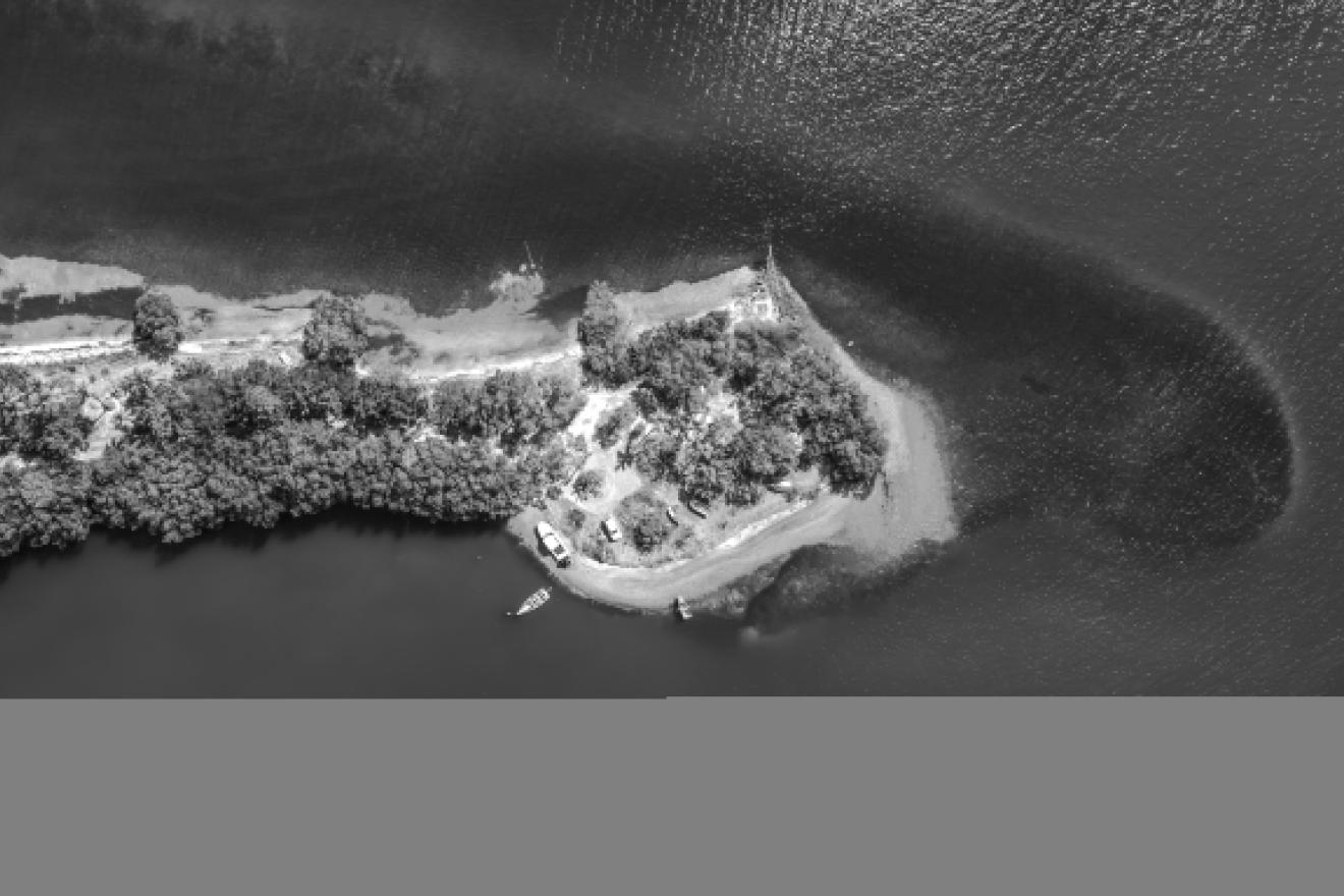 Aerial view of green island with boats